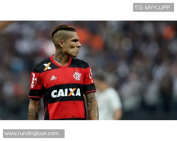 桑托斯与弗拉门戈精彩对决直播全程回顾与分析