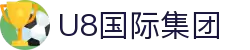 U8.COM(国际)有限公司官网